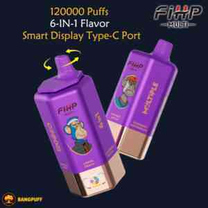 FIHP 6 in 1 120000 puffs disposable vape multi flavor switch dual mesh coil LED display type c rechargeable vape