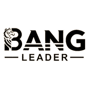 Black and white logo reading “BANG LEADER” with a stylized lion head integrated into the letter B