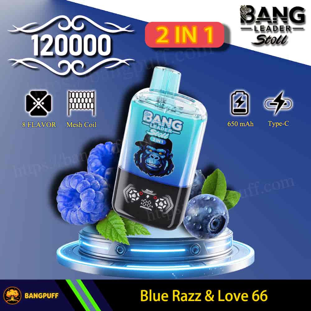 Bang Leader Stoll 2-in-1 vape device, 12000 puffs, Blue Razz & Love 66, 650mAh Type-C rechargeable