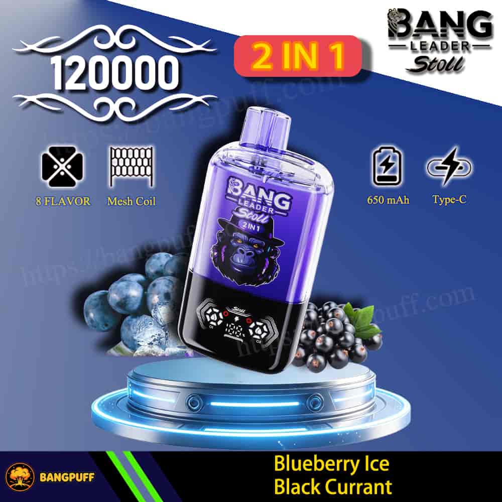 Bang Leader Stroll 2-in-1 vape, 120000 puffs, 650 mAh Type-C, Blueberry Ice and Black Currant flavors