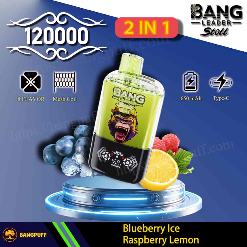 Bang Leader Stoll 2‑in‑1 vape, 120000 puffs, 650 mAh Type‑C, Blueberry Ice Raspberry Lemon flavor with fruit graphics