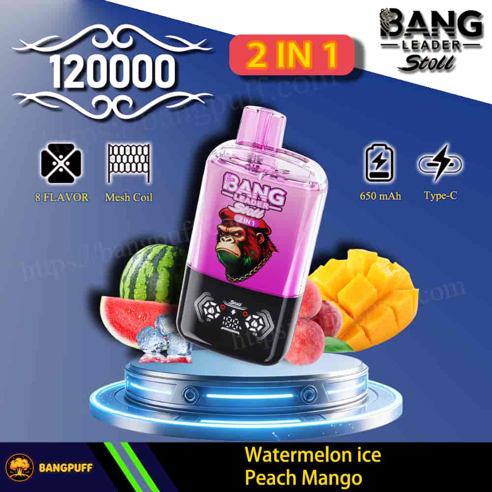 Pink Bang Leader Stoll 2-in-1 vape with 120000 puffs, mesh coil, 650 mAh Type-C, watermelon ice peach mango flavor