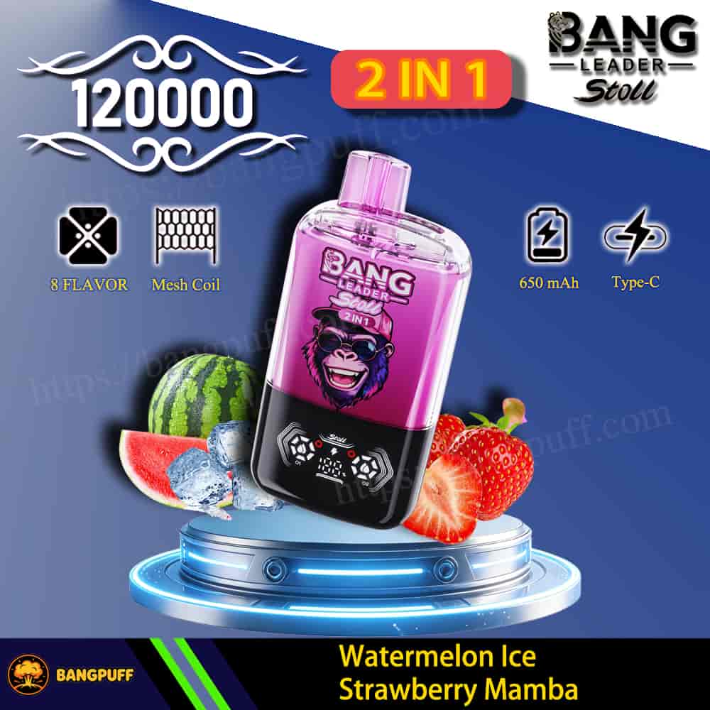Pink Bang Leader Stoll 2 in 1 vape device, 120000 puffs, Watermelon Ice Strawberry Mamba, 650 mAh Type-C