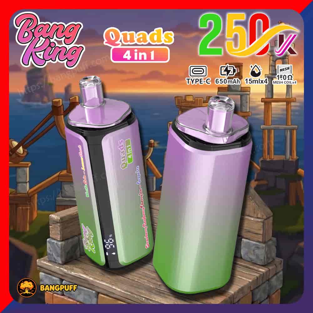 Promotional graphic for Bang King 4-in-1 vape devices, with two purple-green pods and feature icons on a sunset pier background
