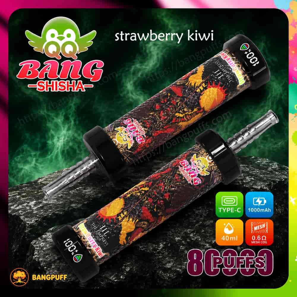 Bang Shisha strawberry kiwi vape with two illustrated devices, 8000 puffs, Type-C, 1000mAh, and 40ml labels