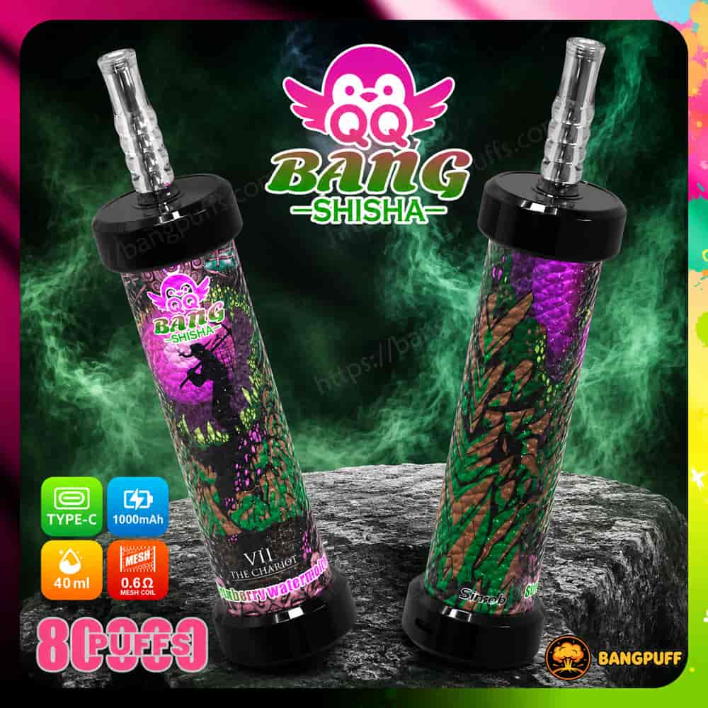Two Bang Shisha vape devices on a rock with green smoke and product feature icons