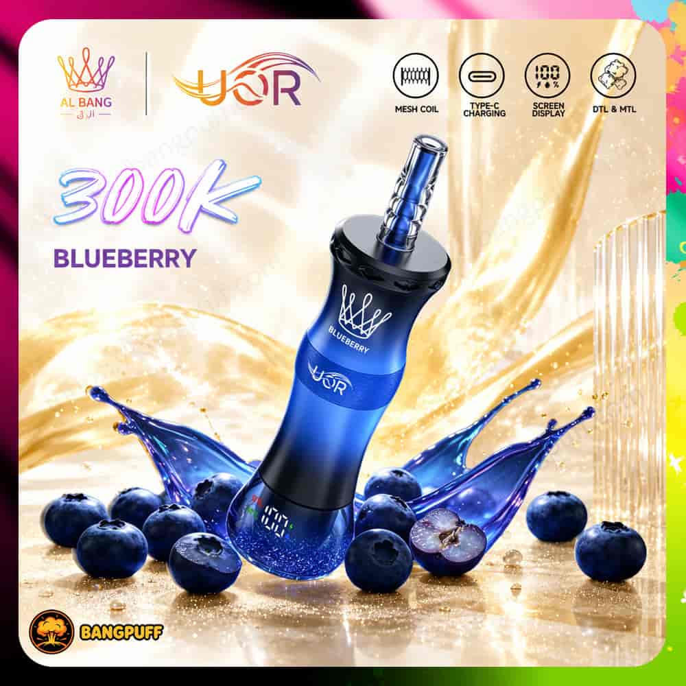 Blueberry vape device with blueberries and splash graphic, labeled 300K and mesh coil, Type-C charging, screen display, DTL & MTL icons